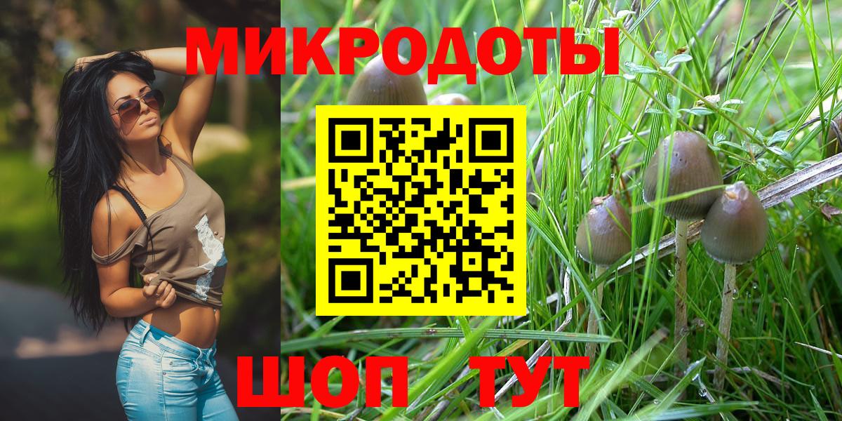 Борисоглебск  Галлюциногенные грибы ЛСД  закладка  Вход с VPN 