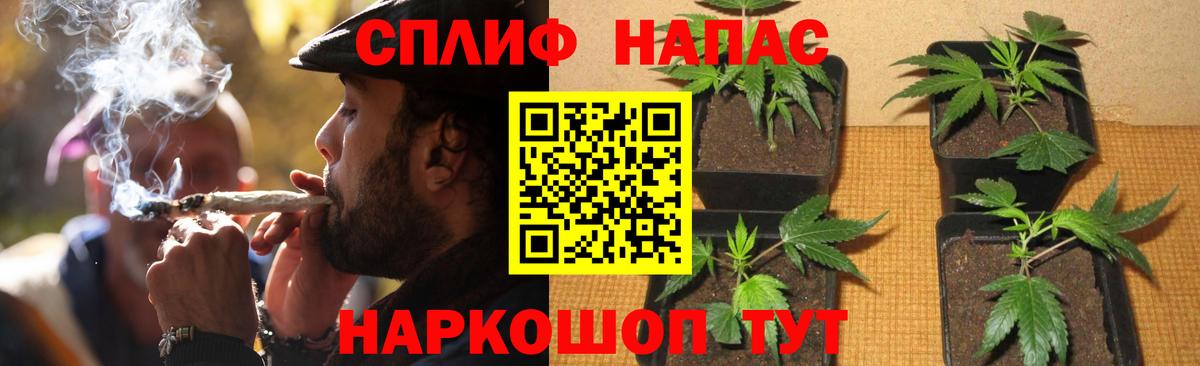 Шишки марихуана гибрид  Вход с VPN  Борисоглебск  Конопля сатива  Канабис гибрид 